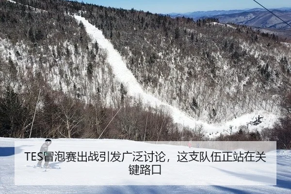 TES冒泡赛出战引发广泛讨论，这支队伍正站在关键路口